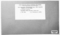 Image Associated With the Occurence